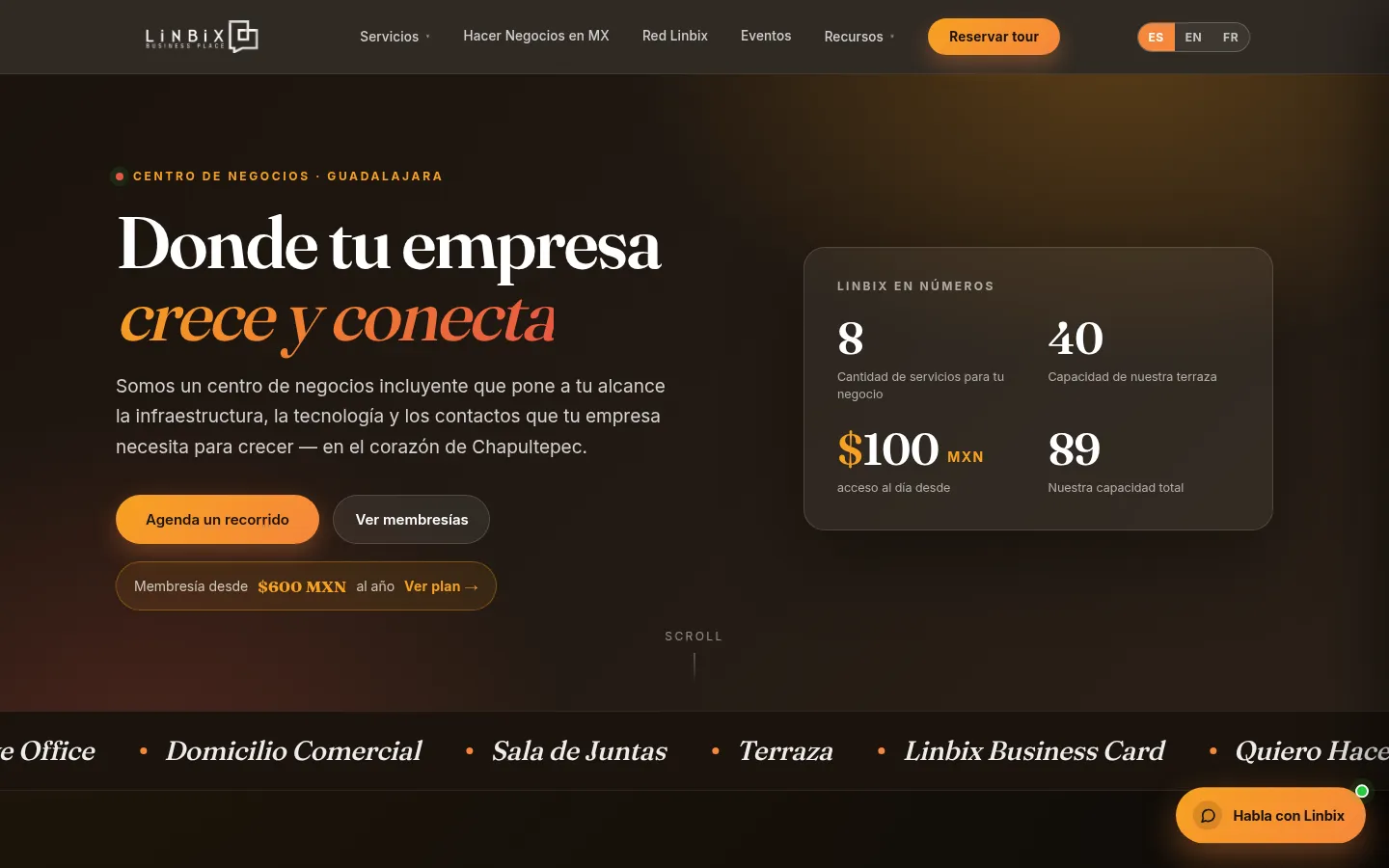 Home page of Linbix Business Place